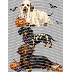 Halloween-WS 11997